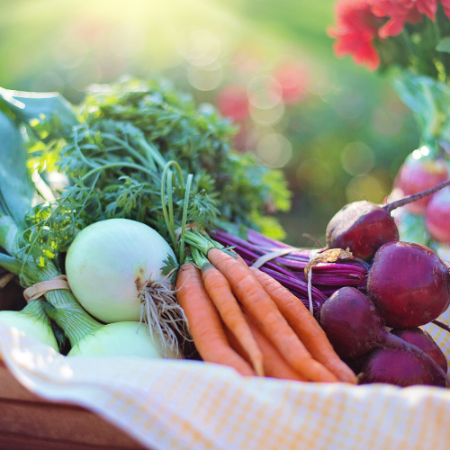 Veggie Lovers' Box