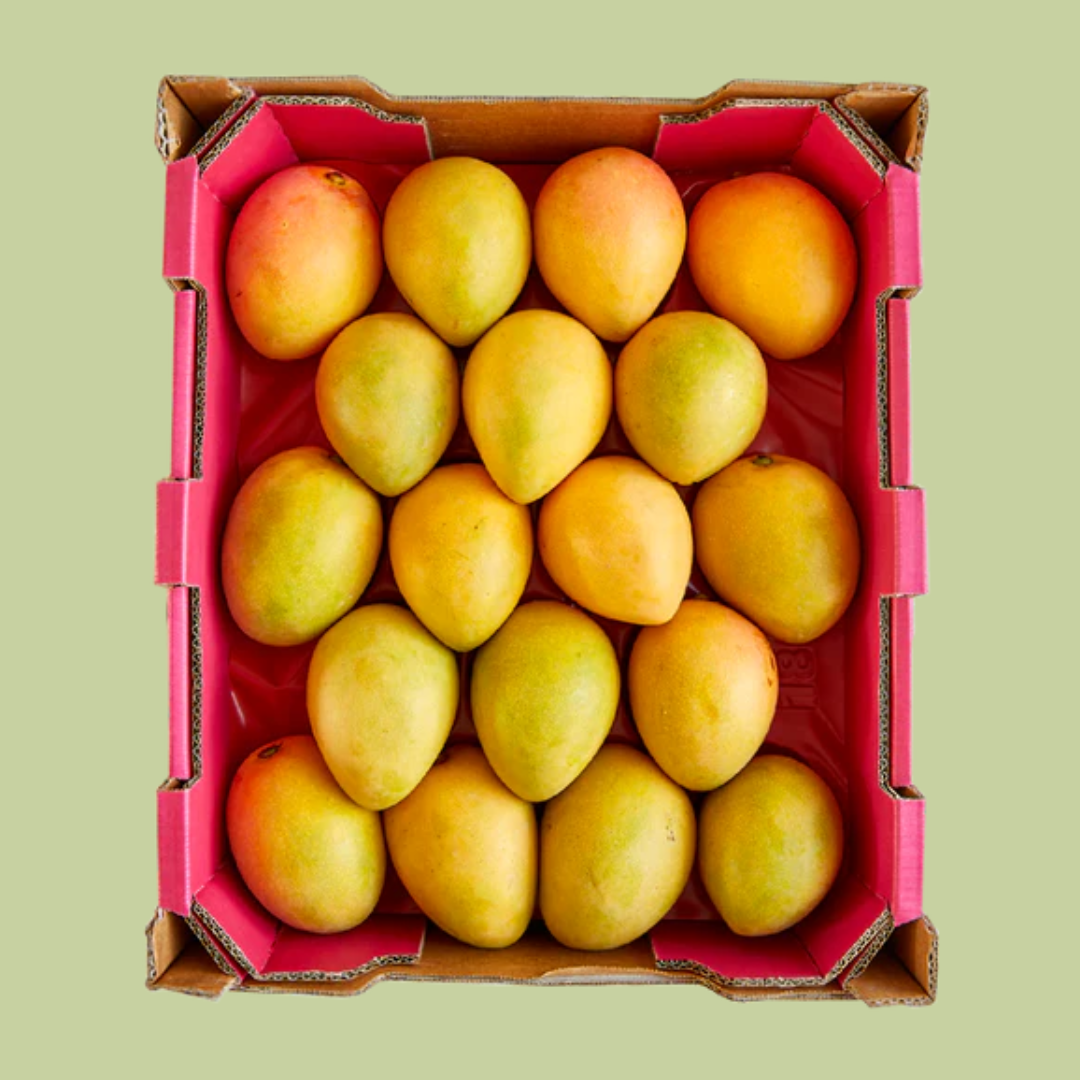 Fresh Seasonal Mangoes (Tray of 16-18)